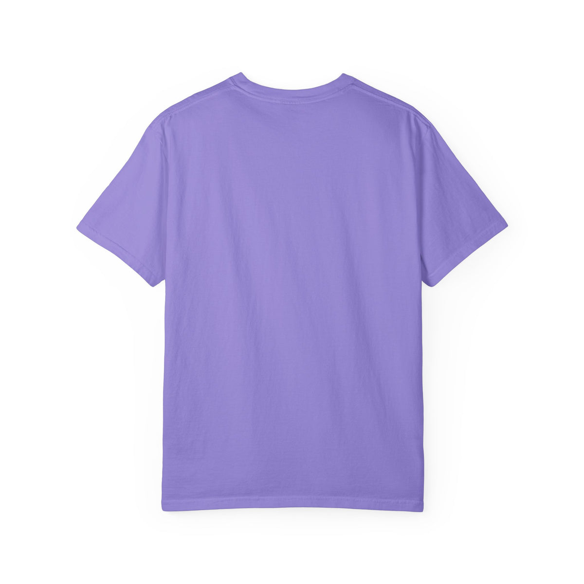 Cozy Catholic II T-Shirt